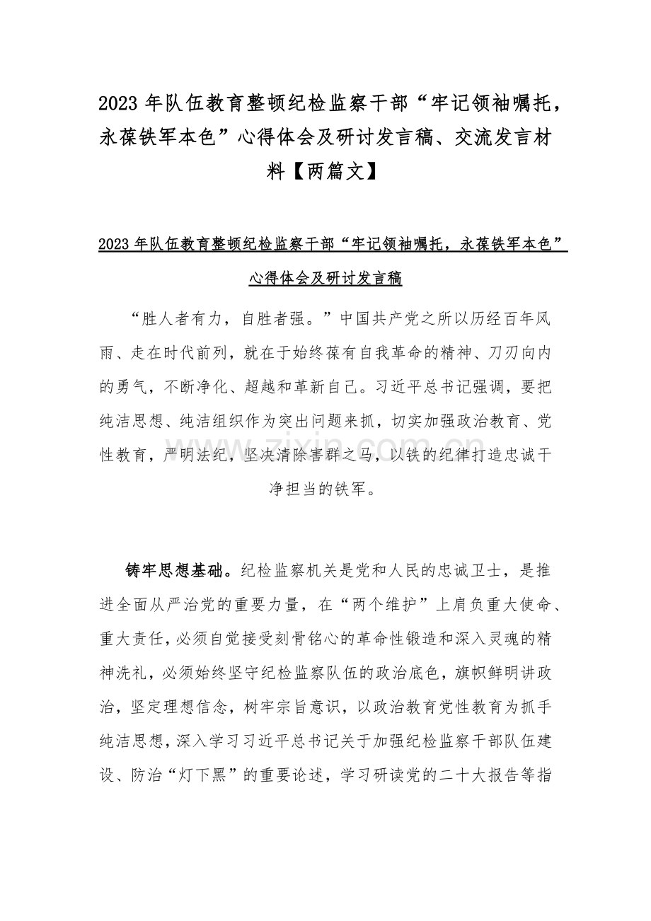 2023年队伍教育整顿纪检监察干部“牢记领袖嘱托永葆铁军本色”心得体会及研讨发言稿、交流发言材料【两篇文】.docx_第1页