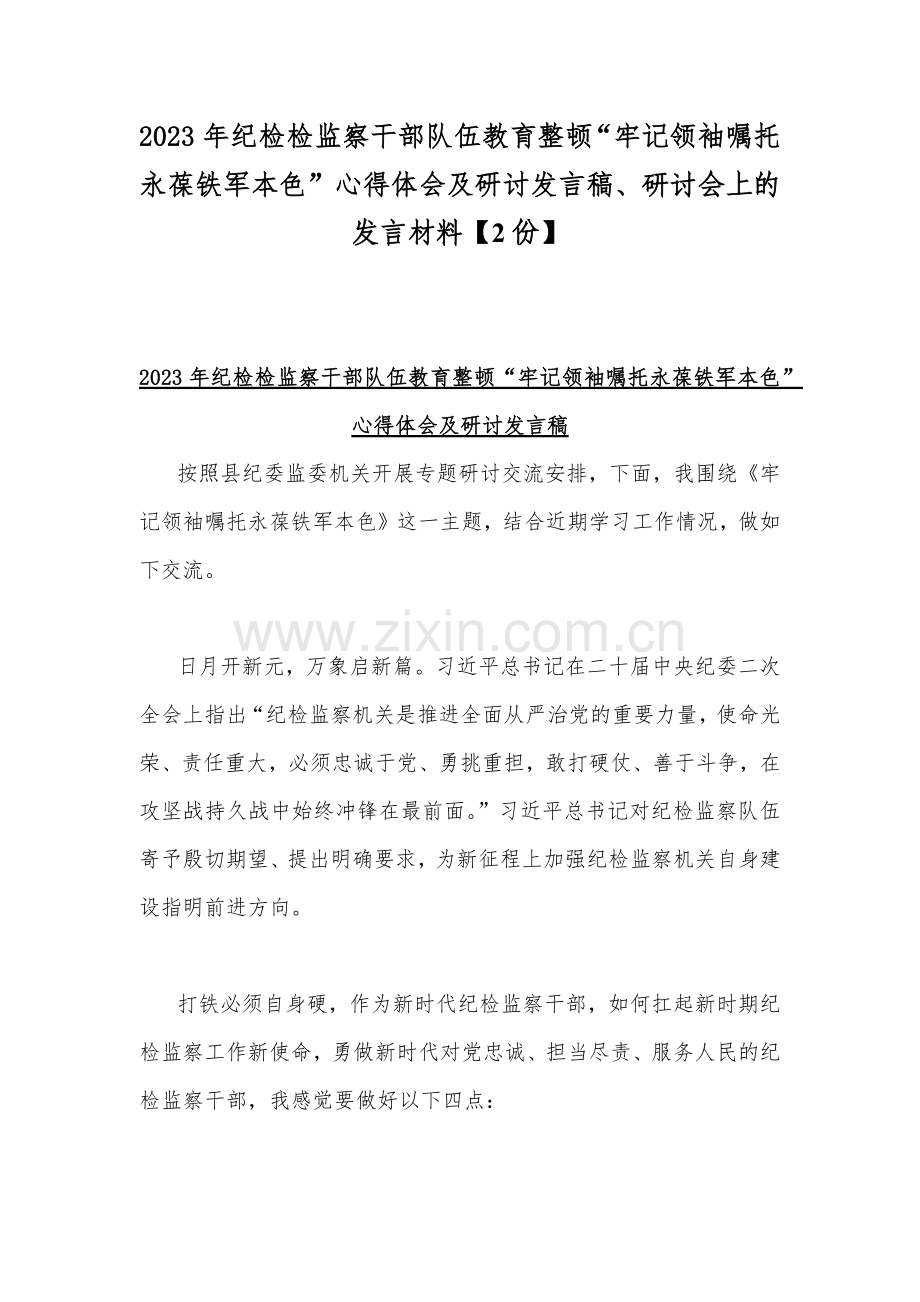 2023年纪检检监察干部队伍教育整顿“牢记领袖嘱托永葆铁军本色”心得体会及研讨发言稿、研讨会上的发言材料【2份】.docx_第1页