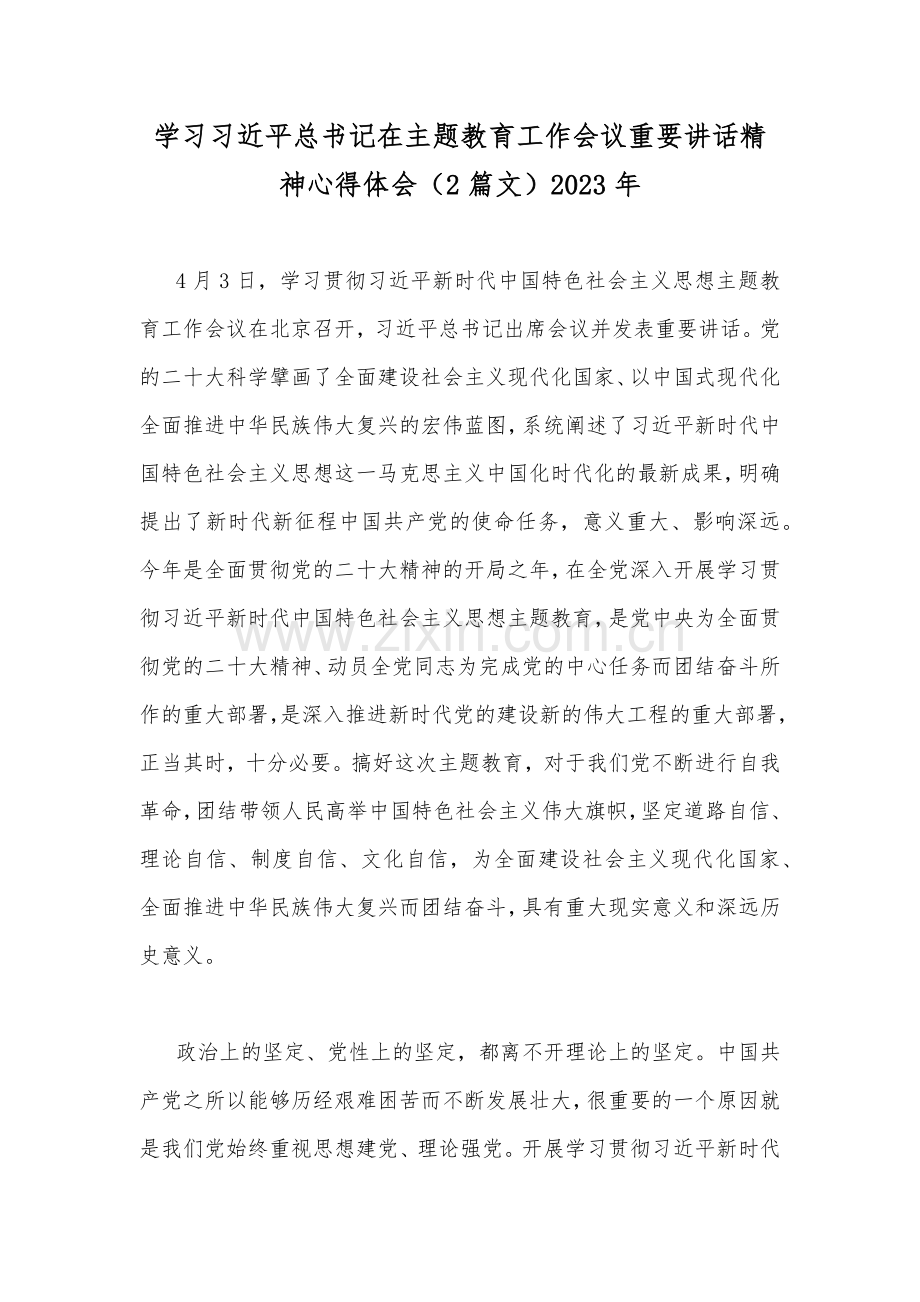 学习习近平总书记在主题教育工作会议重要讲话精神心得体会（2篇文）2023年.docx_第1页