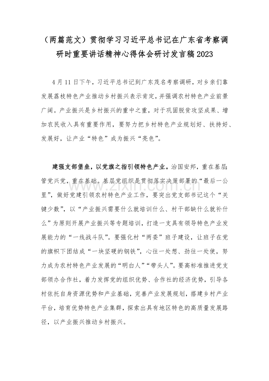 （两篇范文）贯彻学习习近平总书记在广东省考察调研时重要讲话精神心得体会研讨发言稿2023.docx_第1页