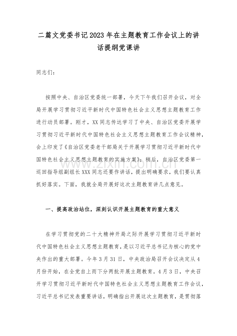 二篇文党委书记2023年在主题教育工作会议上的讲话提纲党课讲.docx_第1页