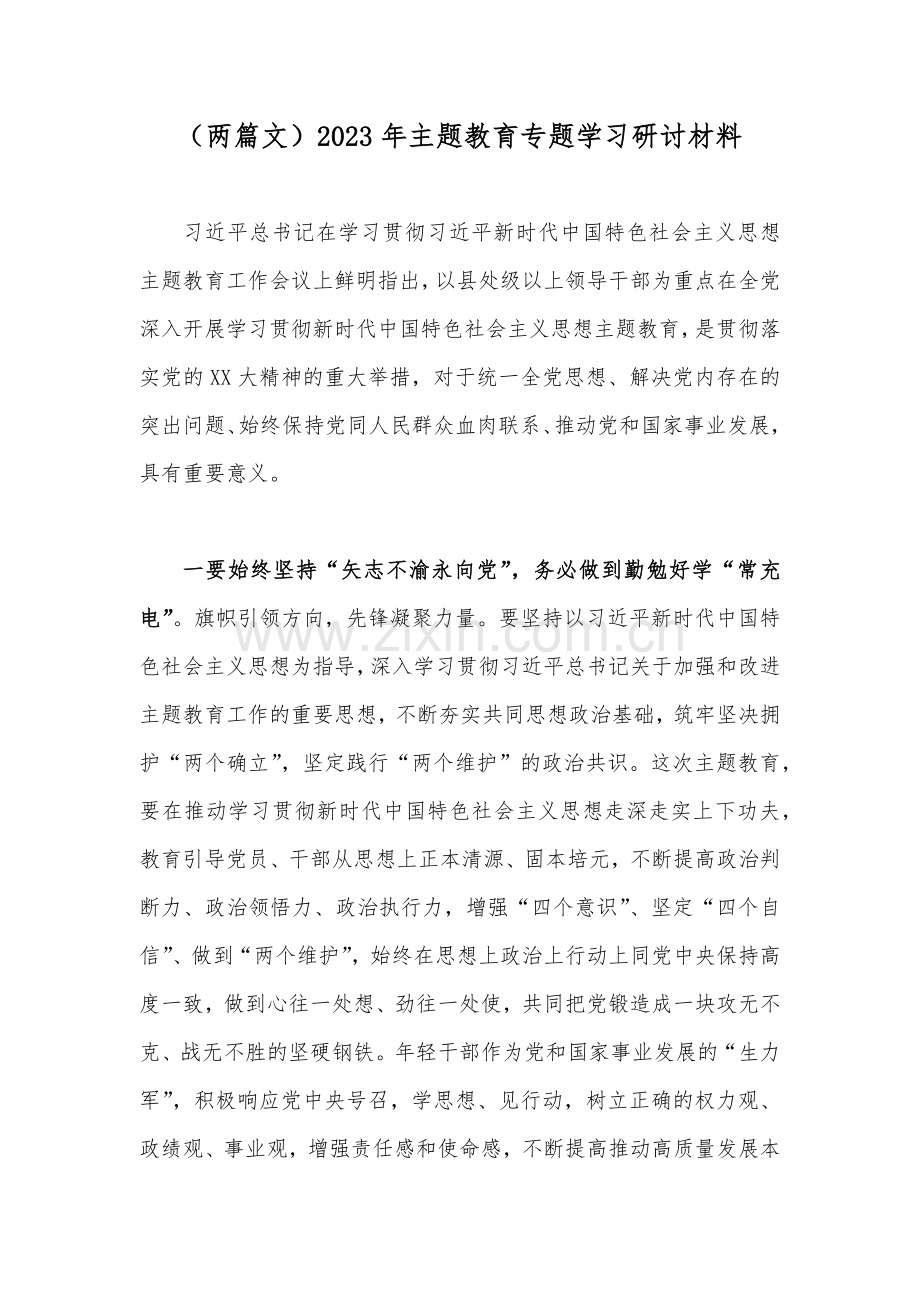 （两篇文）2023年主题教育专题学习研讨材料.docx_第1页