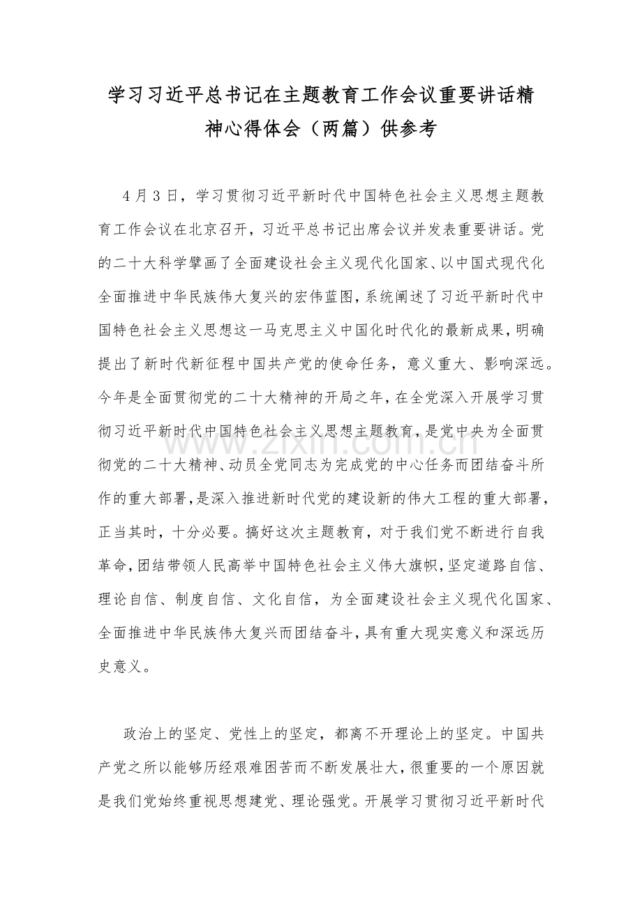 学习习近平总书记在主题教育工作会议重要讲话精神心得体会（两篇）供参考.docx_第1页