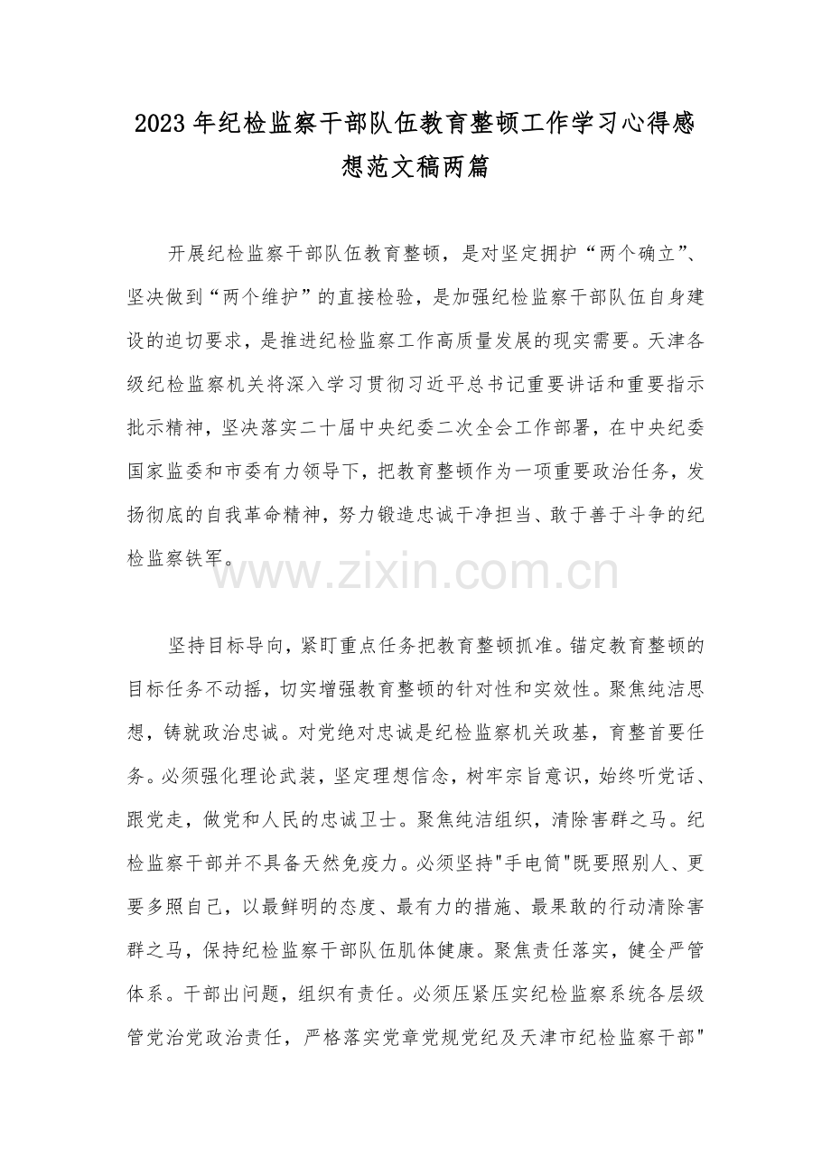 2023年纪检监察干部队伍教育整顿工作学习心得感想范文稿两篇.docx_第1页