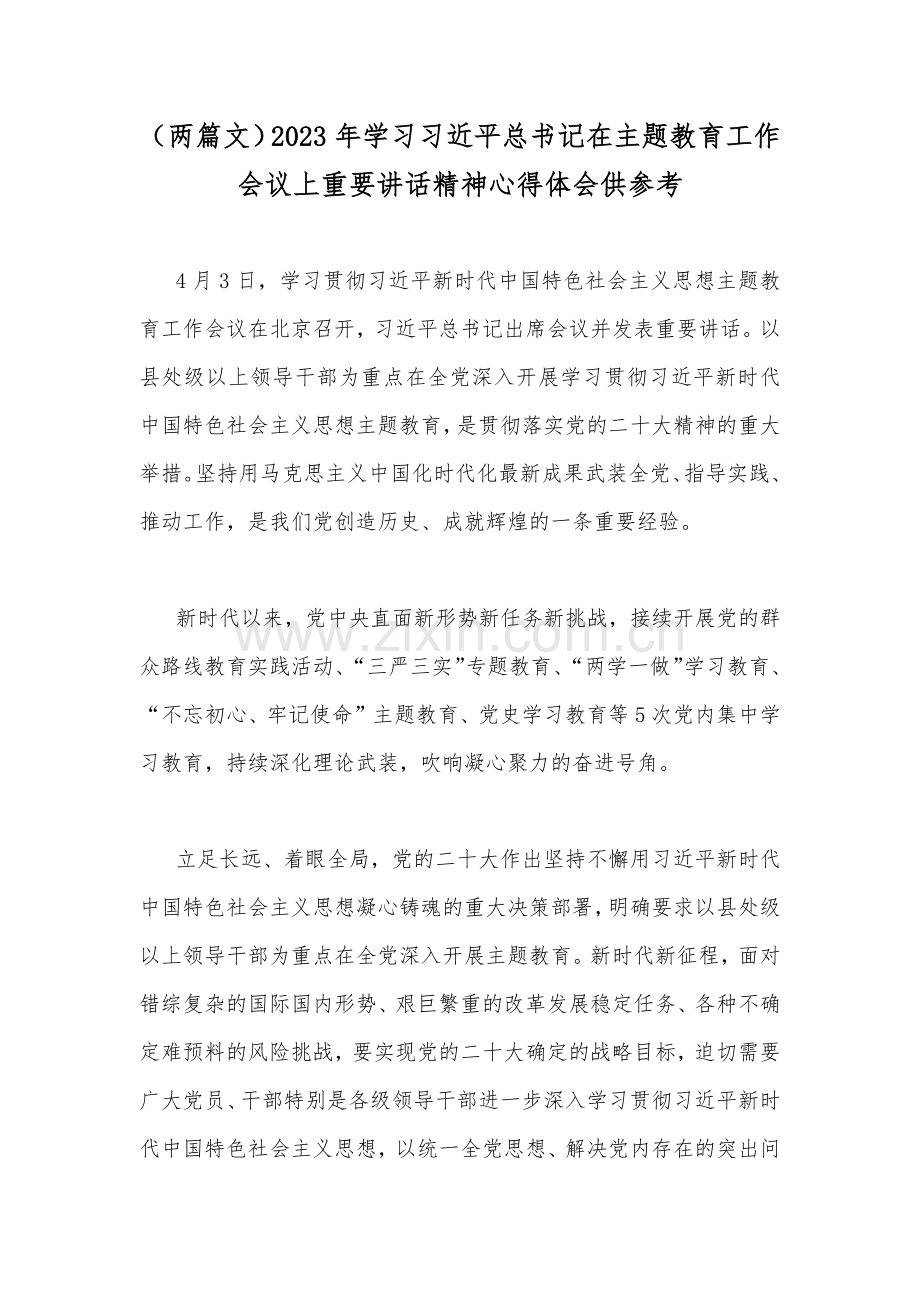 （两篇文）2023年学习习近平总书记在主题教育工作会议上重要讲话精神心得体会供参考.docx_第1页