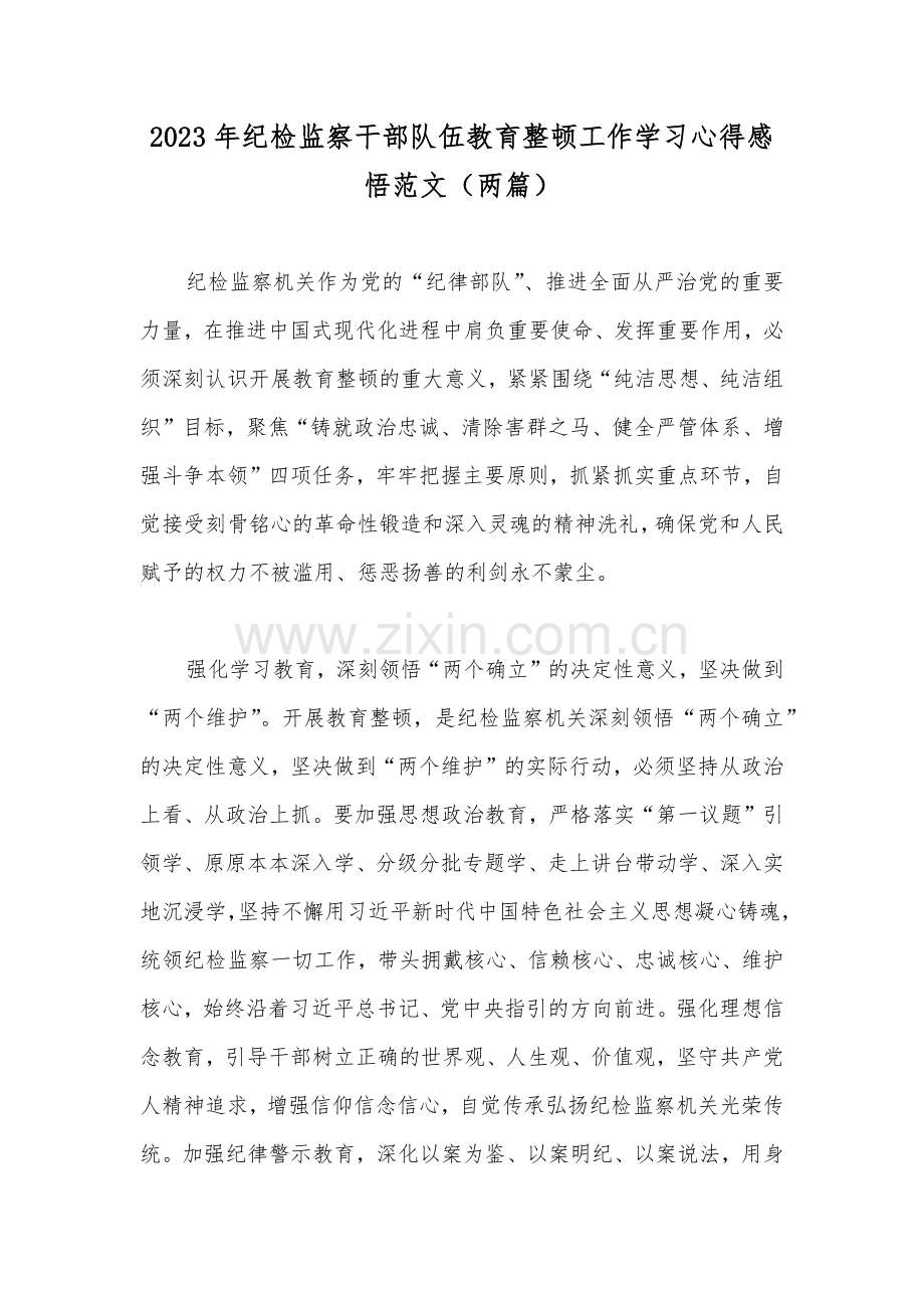 2023年纪检监察干部队伍教育整顿工作学习心得感悟范文（两篇）.docx_第1页