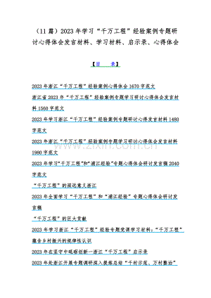 （11篇）2023年学习“千万工程”经验案例专题研讨心得体会发言材料、学习材料、启示录、心得体会.docx