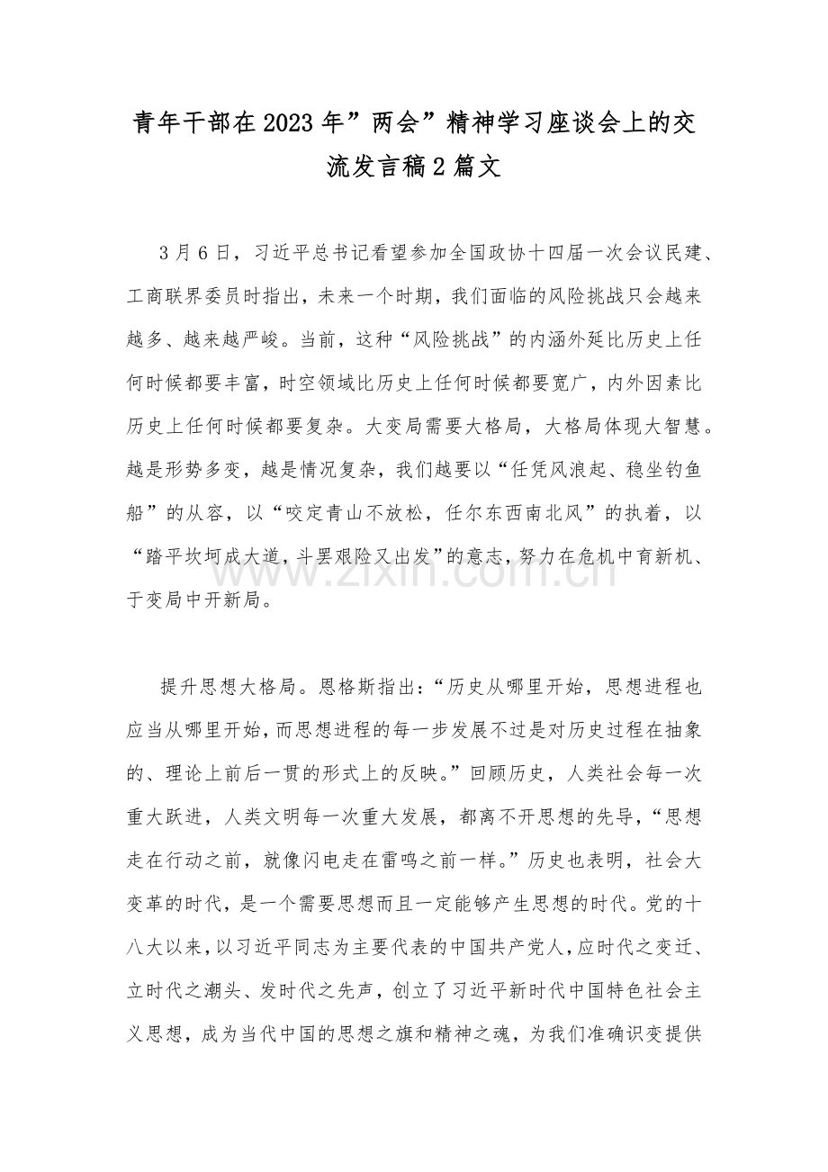 青年干部在2023年”两会”精神学习座谈会上的交流发言稿2篇文.docx_第1页