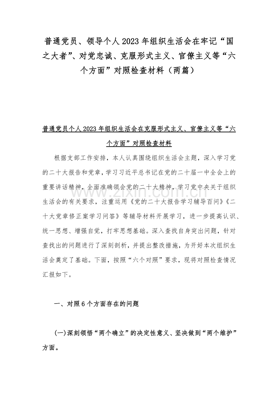 普通党员、领导个人2023年组织生活会在牢记“国之大者”、对党忠诚、克服形式主义、官僚主义等“六个方面”对照检查材料（两篇）.docx_第1页