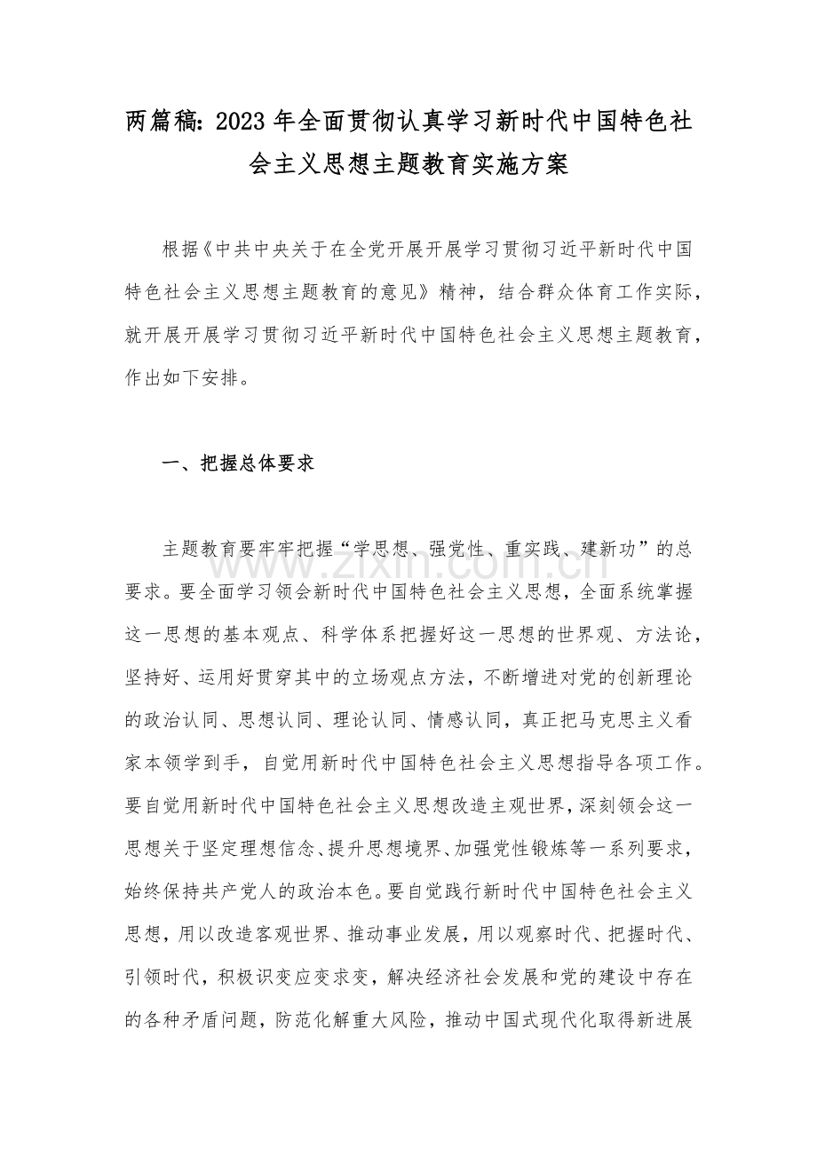 两篇稿：2023年全面贯彻认真学习新时代中国特色社会主义思想主题教育实施方案.docx_第1页