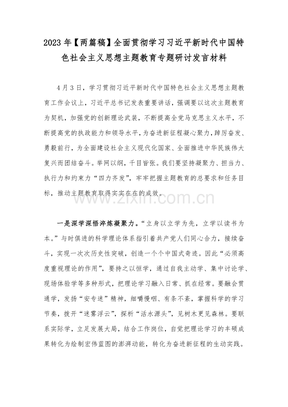 2023年【两篇稿】全面贯彻学习习近平新时代中国特色社会主义思想主题教育专题研讨发言材料.docx_第1页