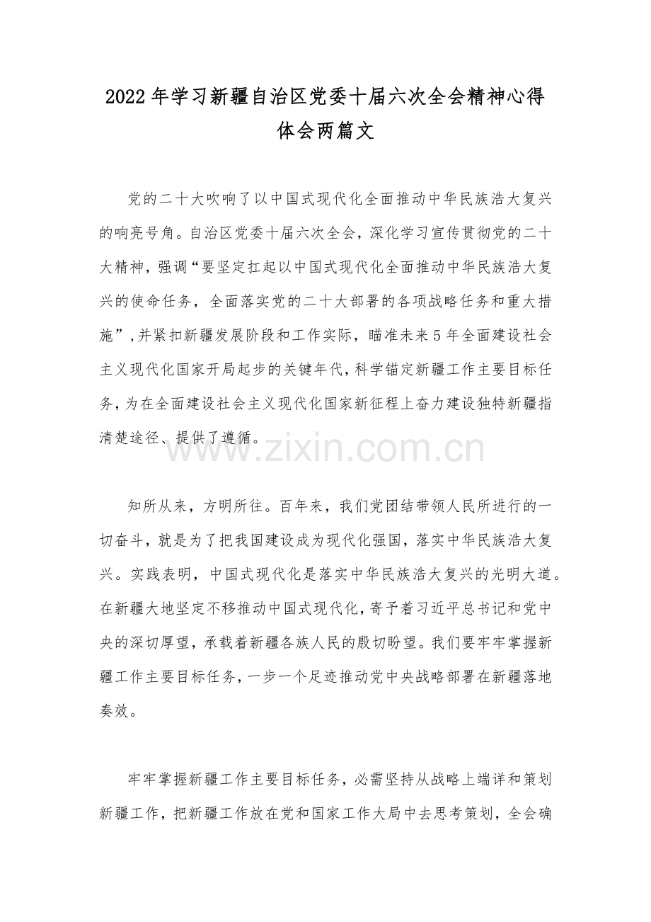 2022年学习新疆自治区党委十届六次全会精神心得体会两篇文.docx_第1页