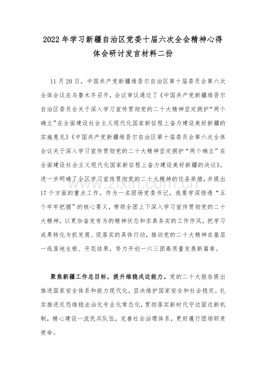 2022年学习新疆自治区党委十届六次全会精神心得体会研讨发言材料二份.docx_第1页