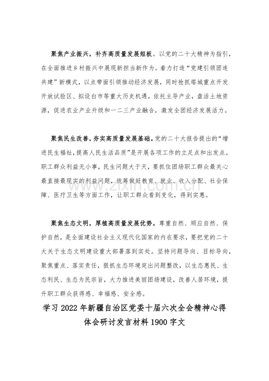 2022年学习新疆自治区党委十届六次全会精神心得体会研讨发言材料二份.docx_第2页