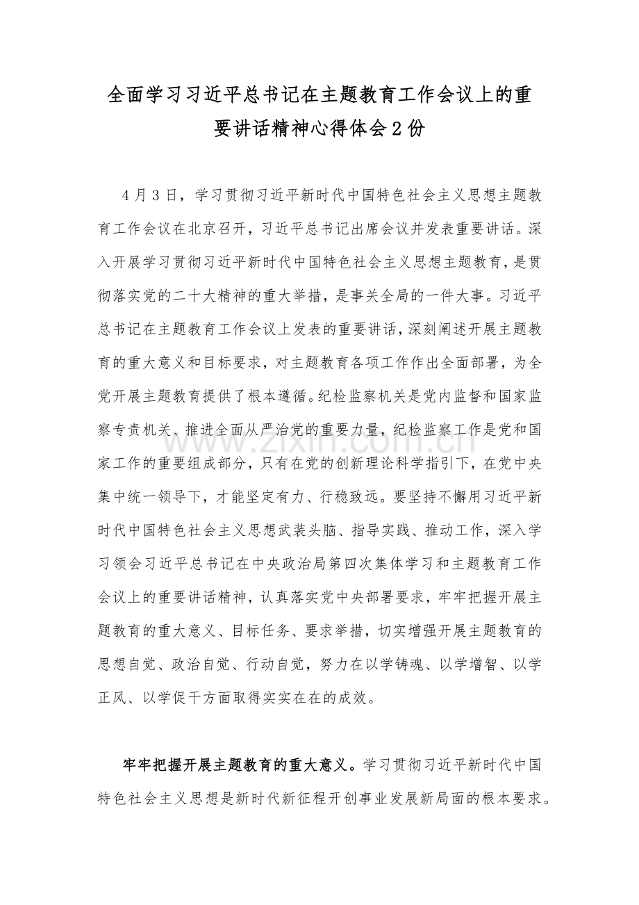 全面学习习近平总书记在主题教育工作会议上的重要讲话精神心得体会2份.docx_第1页