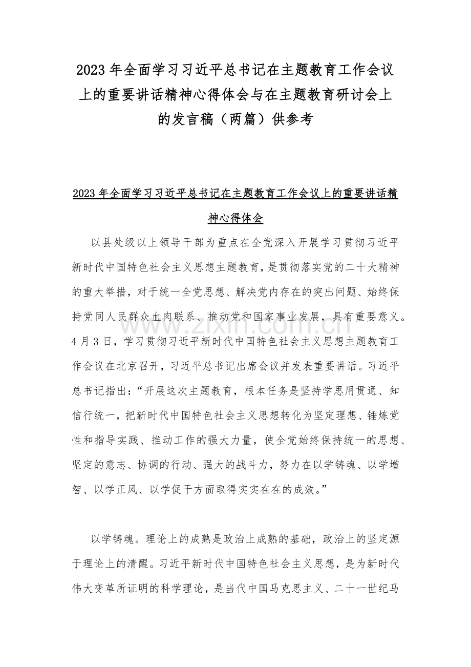 2023年全面学习习近平总书记在主题教育工作会议上的重要讲话精神心得体会与在主题教育研讨会上的发言稿（两篇）供参考.docx_第1页