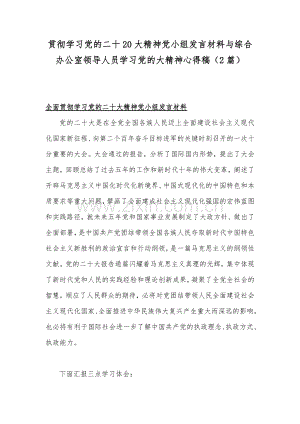 贯彻学习党的二十20大精神党小组发言材料与综合办公室领导人员学习党的大精神心得稿（2篇）.docx