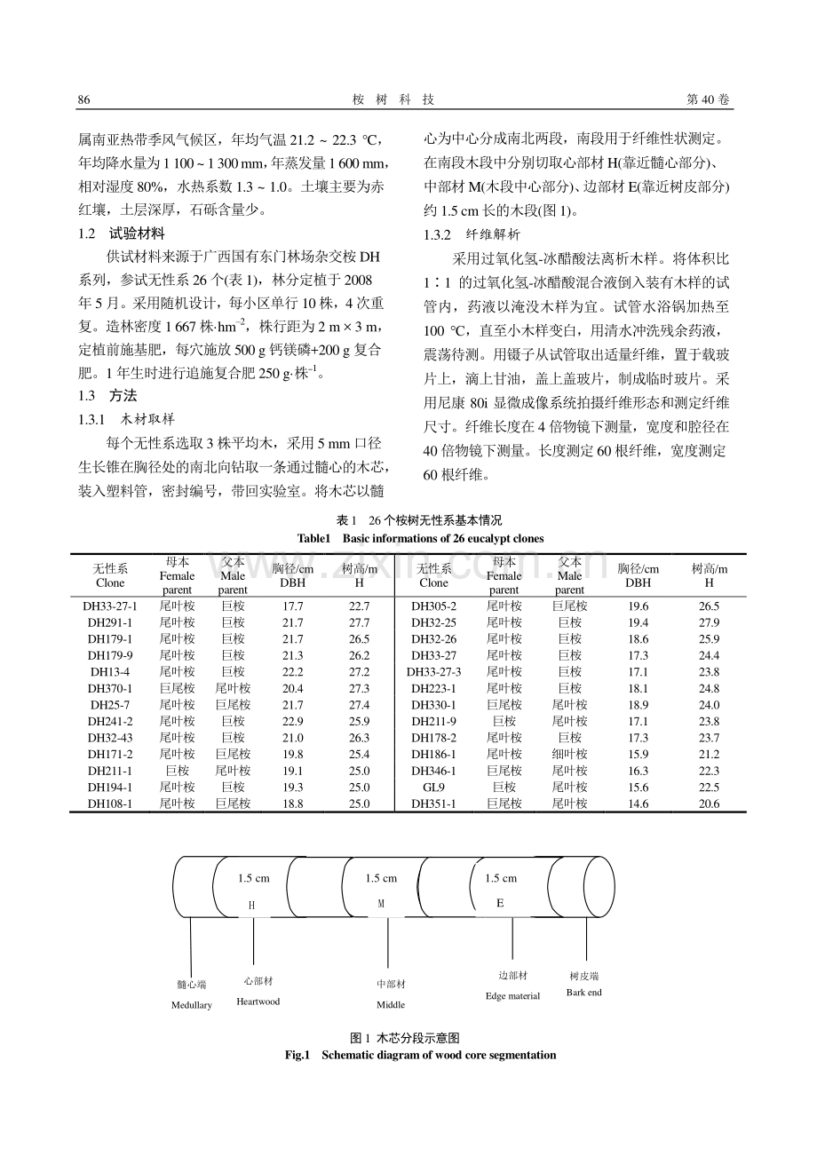 26个桉树无性系纤维形态特征_彭智邦.pdf_第2页