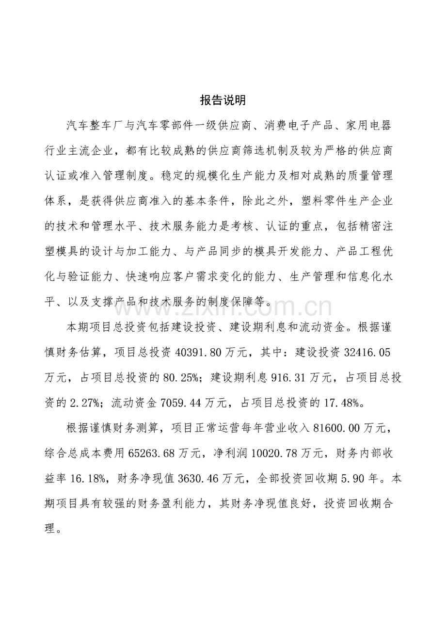 吹塑模投资项目实施方案范文参考.pdf_第2页