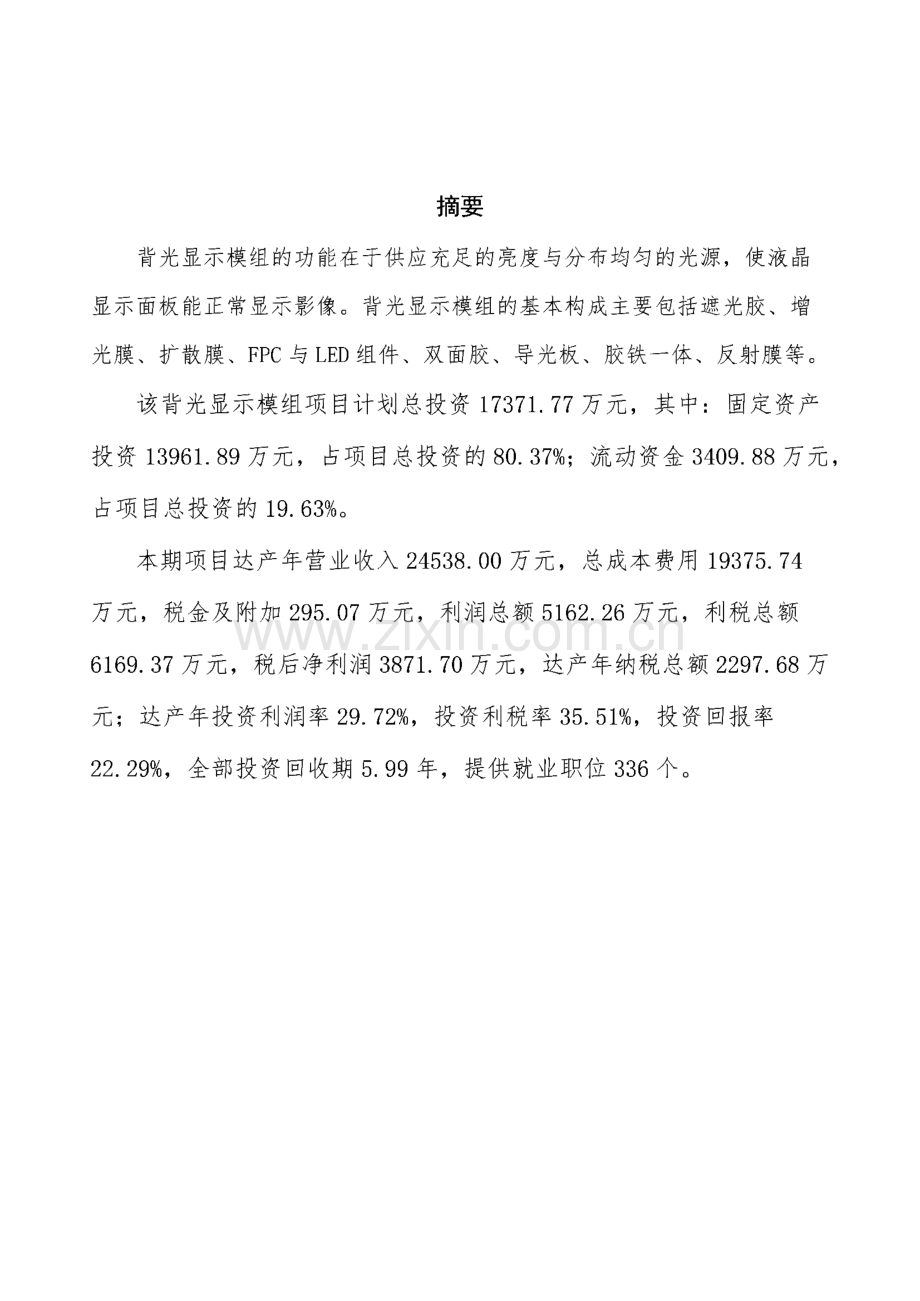 背光显示模组项目规划设计方案.pdf_第2页