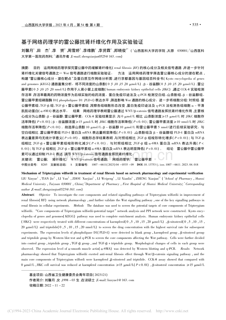 基于网络药理学的雷公藤抗肾纤维化作用及实验验证_刘馨月.pdf_第1页