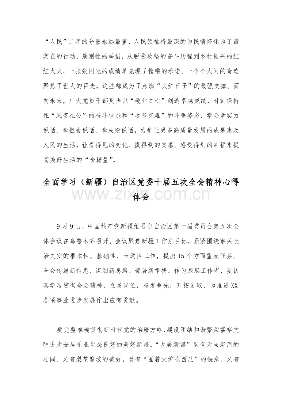 全面学习新疆自治区党委十届五次全会精神心得体会四篇【供参考可选用】.docx_第3页