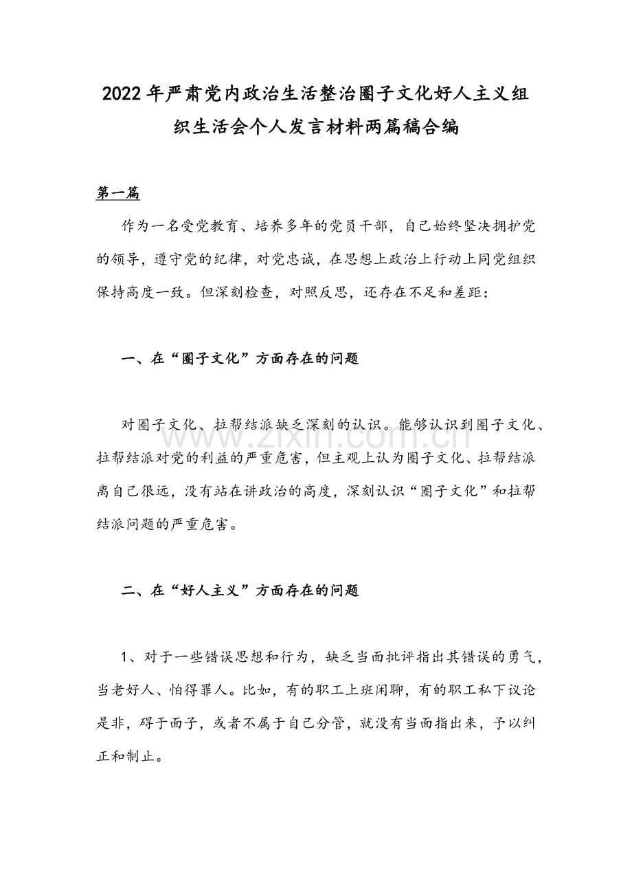 2022年严肃党内政治生活整治圈子文化好人主义组织生活会个人发言材料两篇稿合编.docx_第1页