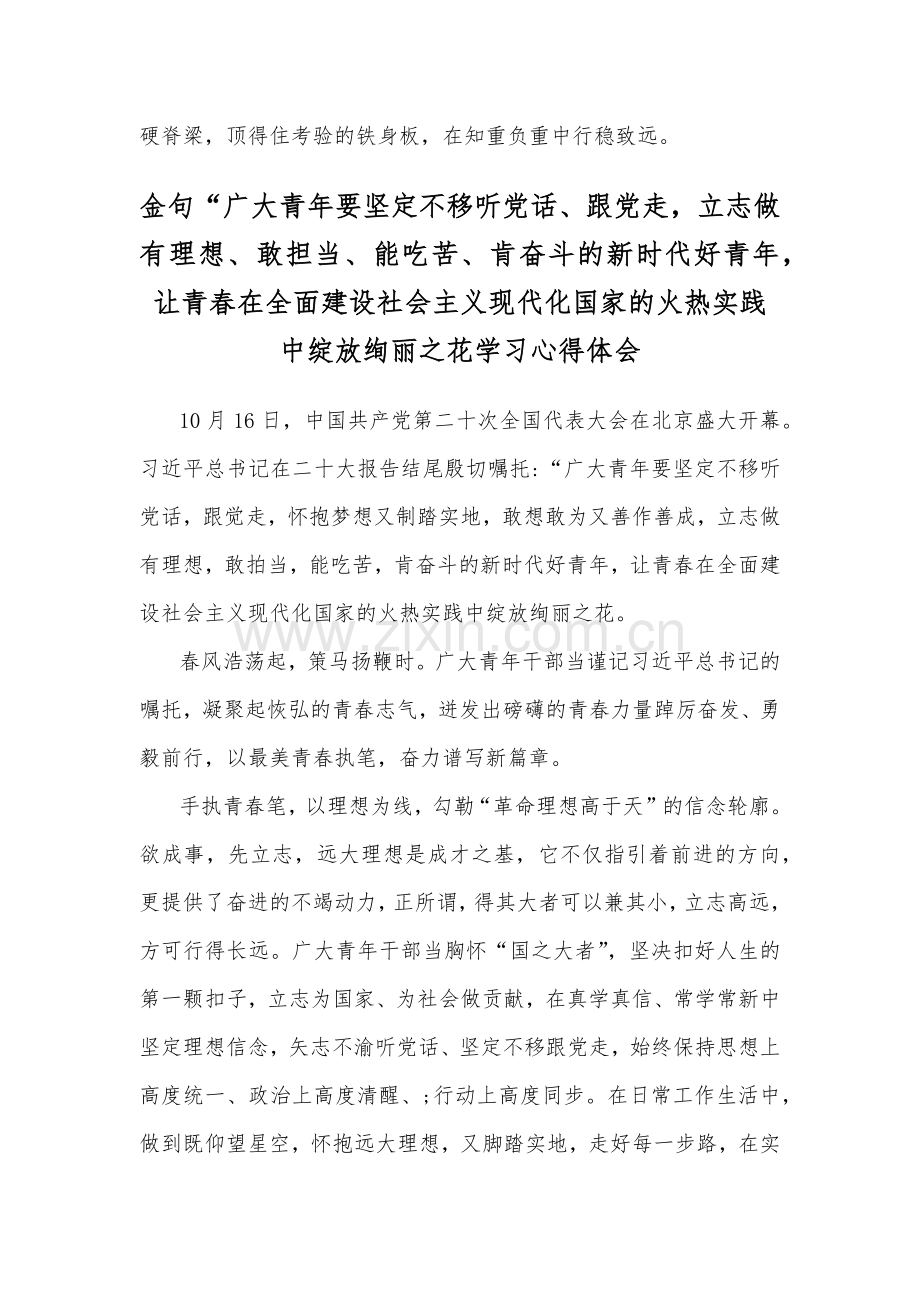 金句“广大青年要坚定不移听党话、跟党走怀抱梦想又脚踏实地立志做有理想、敢担当、能吃苦、肯奋斗的新时代好青年学习心得体会【两份通用文】.docx_第3页