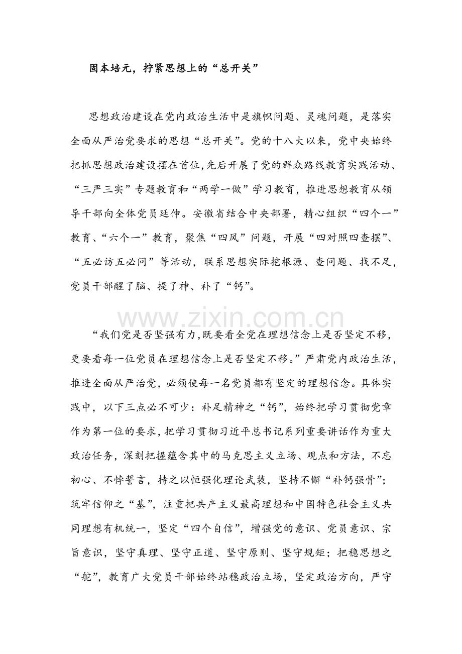 【2份）集中治理党内政治生活庸俗化交易化问题专题研讨心得交流发言材料.docx_第3页