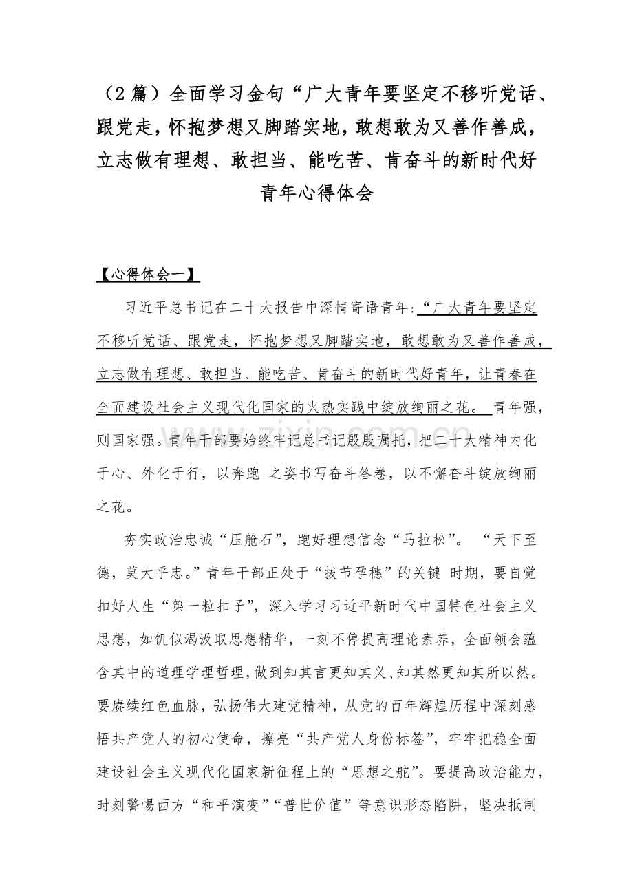 （2篇）全面学习金句“广大青年要坚定不移听党话、跟党走怀抱梦想又脚踏实地敢想敢为又善作善成立志做有理想、敢担当、能吃苦、肯奋斗的新时代好青年心得体会.docx_第1页