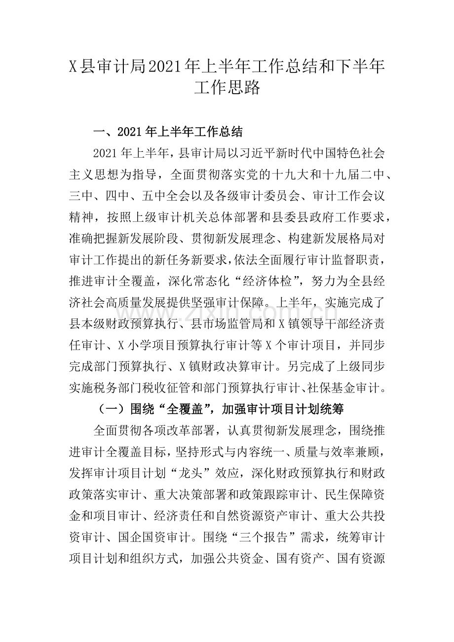 X县审计局2021年上半年工作总结和下半年工作思路.docx_第1页