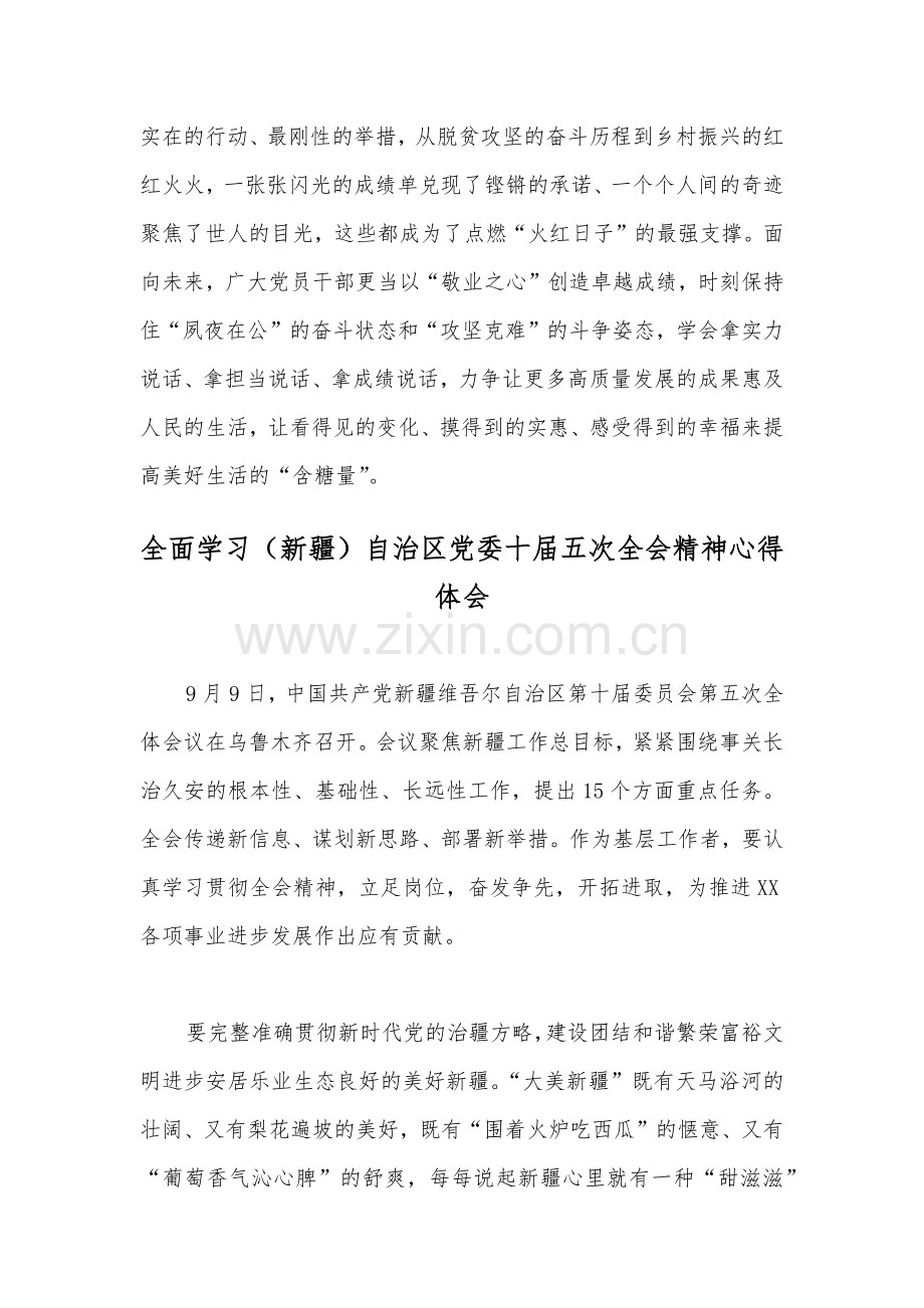 （两篇）学习新疆自治区党委十届五次全会精神心得体会.docx_第3页