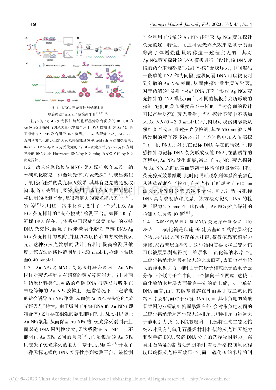 金属纳米团簇荧光探针联合新...在核酸检测领域中的应用现状_梁春贤.pdf_第3页