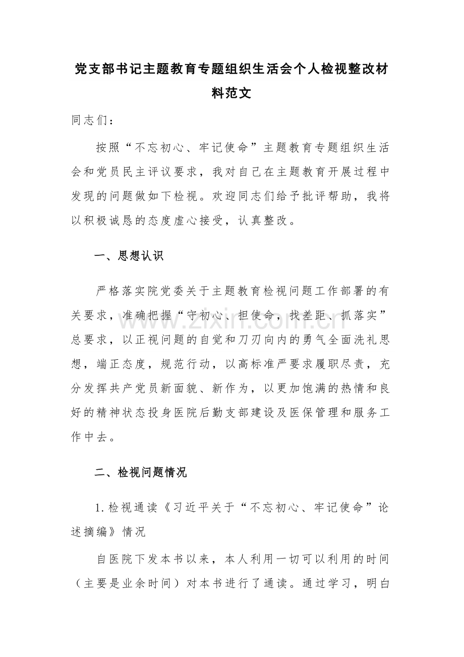 党支部书记主题教育专题组织生活会个人检视整改材料范文.docx_第1页