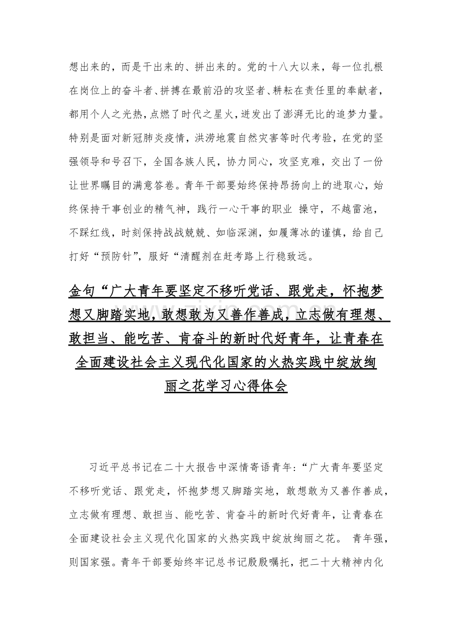 2篇学习金句“广大青年要坚定不移听党话、跟党走立志做有理想、敢担当、能吃苦、肯奋斗的新时代好青年让青春在全面建设社会主义现代化国家的火热实践中绽放绚丽之花心得稿.docx_第3页