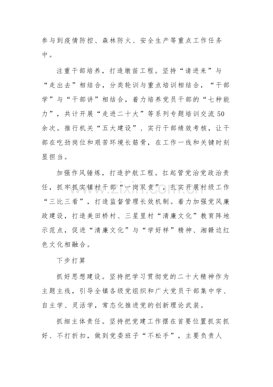 党委书记履行基层党建工作责任述职报告集合篇范文.docx_第2页