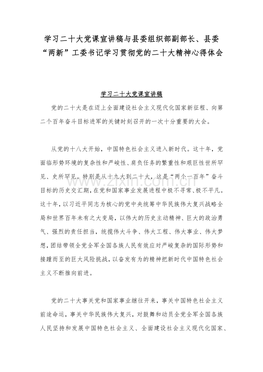 学习二十20大党课宣讲稿与县委组织部副部长、县委“两新”工委书记学习贯彻党的二十20大精神心得体会.docx_第1页