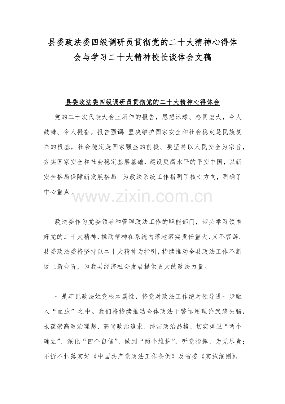 县委政法委四级调研员贯彻党的二十20大精神心得体会与学习二十20大精神校长谈体会文稿.docx_第1页