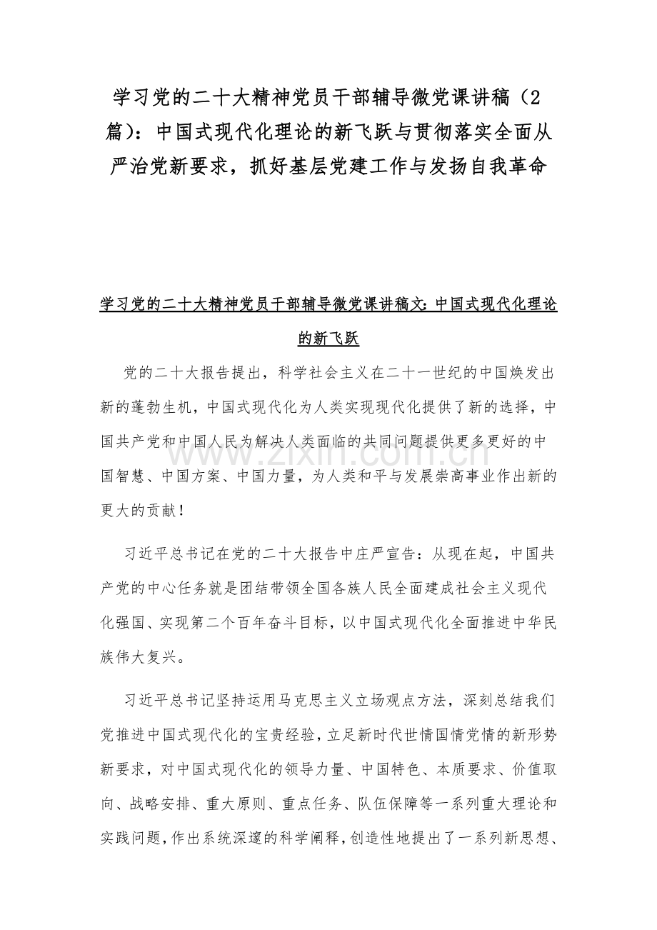 学习党的二十20大精神党员干部辅导微党课讲稿（2篇）：中国式现代化理论的新飞跃与贯彻落实全面从严治党新要求抓好基层党建工作与发扬自我革命.docx_第1页