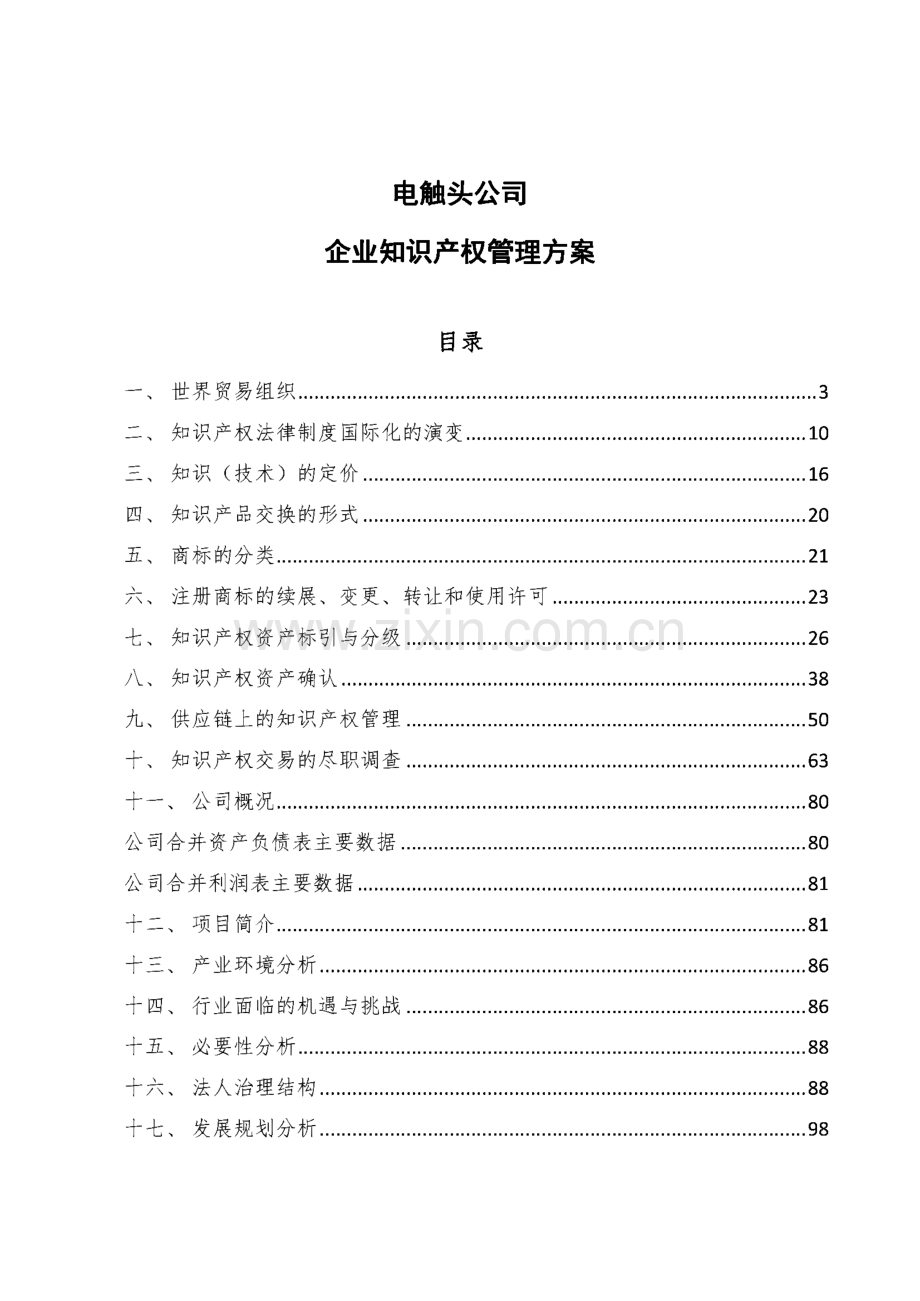 电触头公司企业知识产权管理方案.pdf_第1页