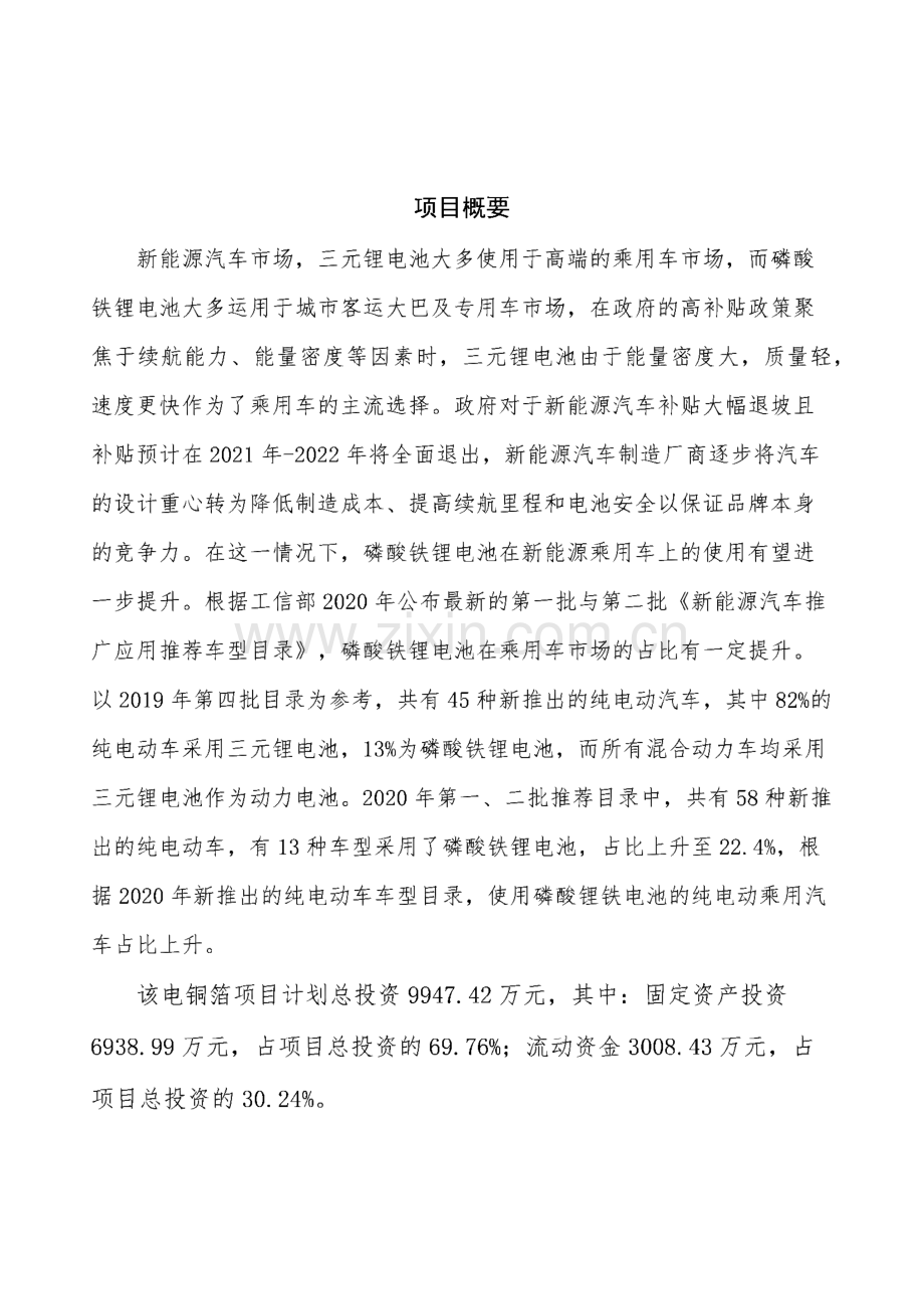 电铜箔项目规划方案.pdf_第3页