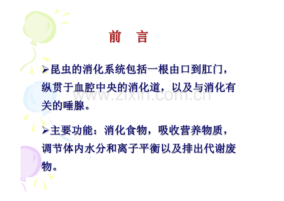 昆虫的消化系统.pdf_第1页