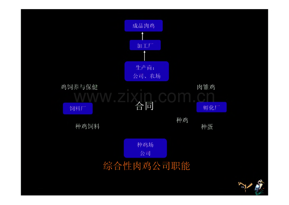 第八章 肉鸡生产.pdf_第3页