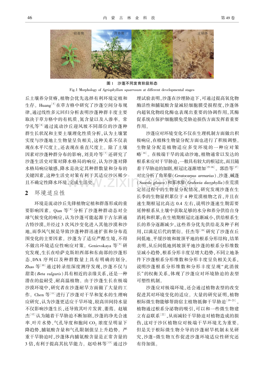 固沙先锋植物沙蓬的研究进展和展望_张胜男.pdf_第2页