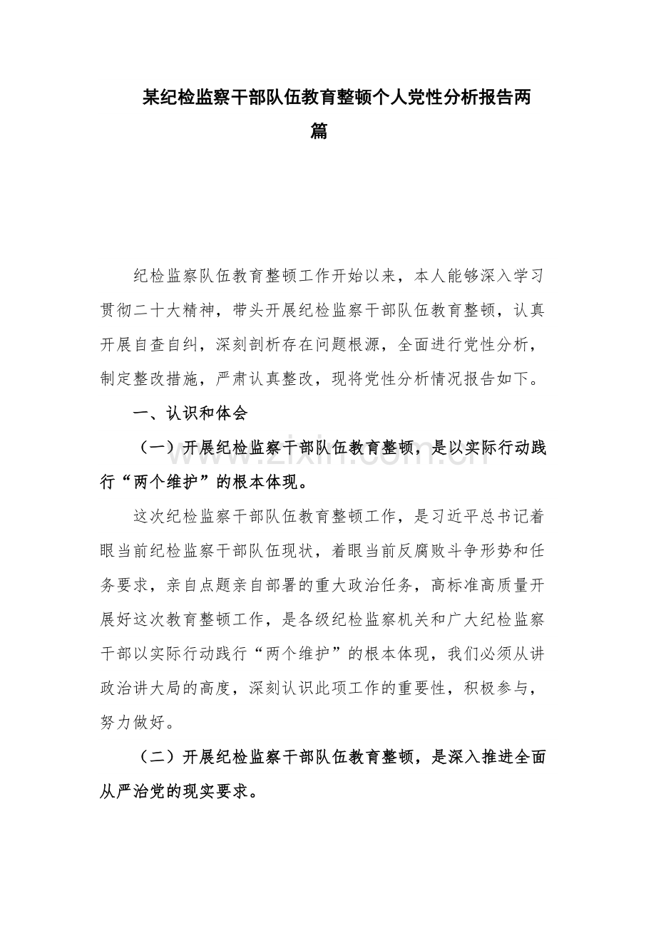 某纪检监察干部队伍教育整顿个人党性分析报告两篇.docx_第1页