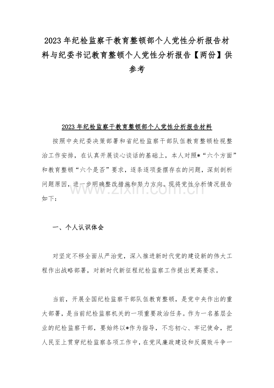 2023年纪检监察干教育整顿部个人党性分析报告材料与纪委书记教育整顿个人党性分析报告【两份】供参考.docx_第1页