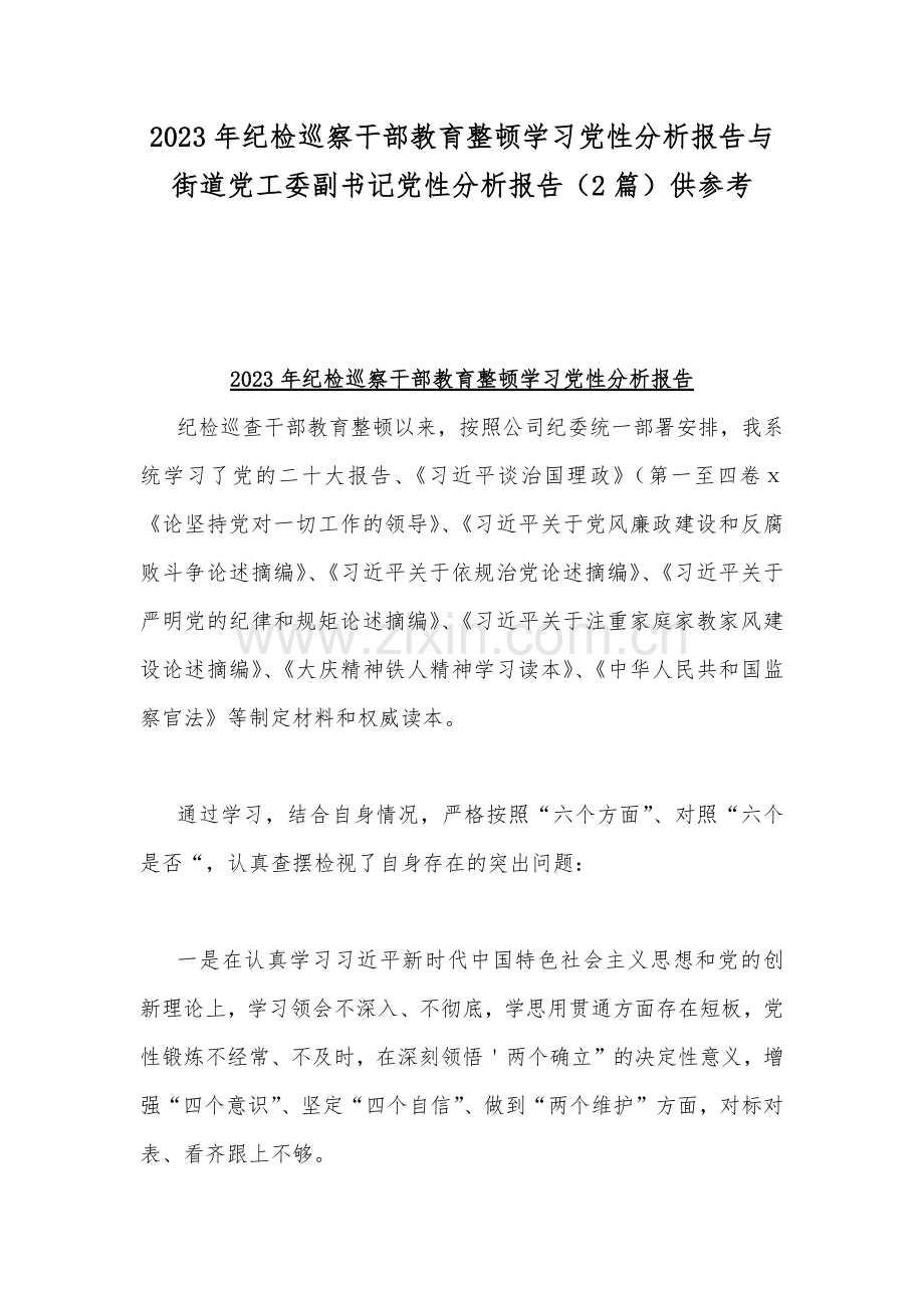 2023年纪检巡察干部教育整顿学习党性分析报告与街道党工委副书记党性分析报告（2篇）供参考.docx_第1页