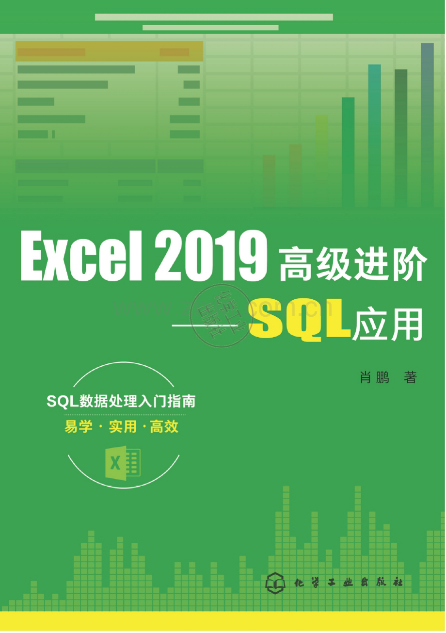 Excel 2019高级进阶：SQL应用 肖鹏 2020年版.pdf_第1页