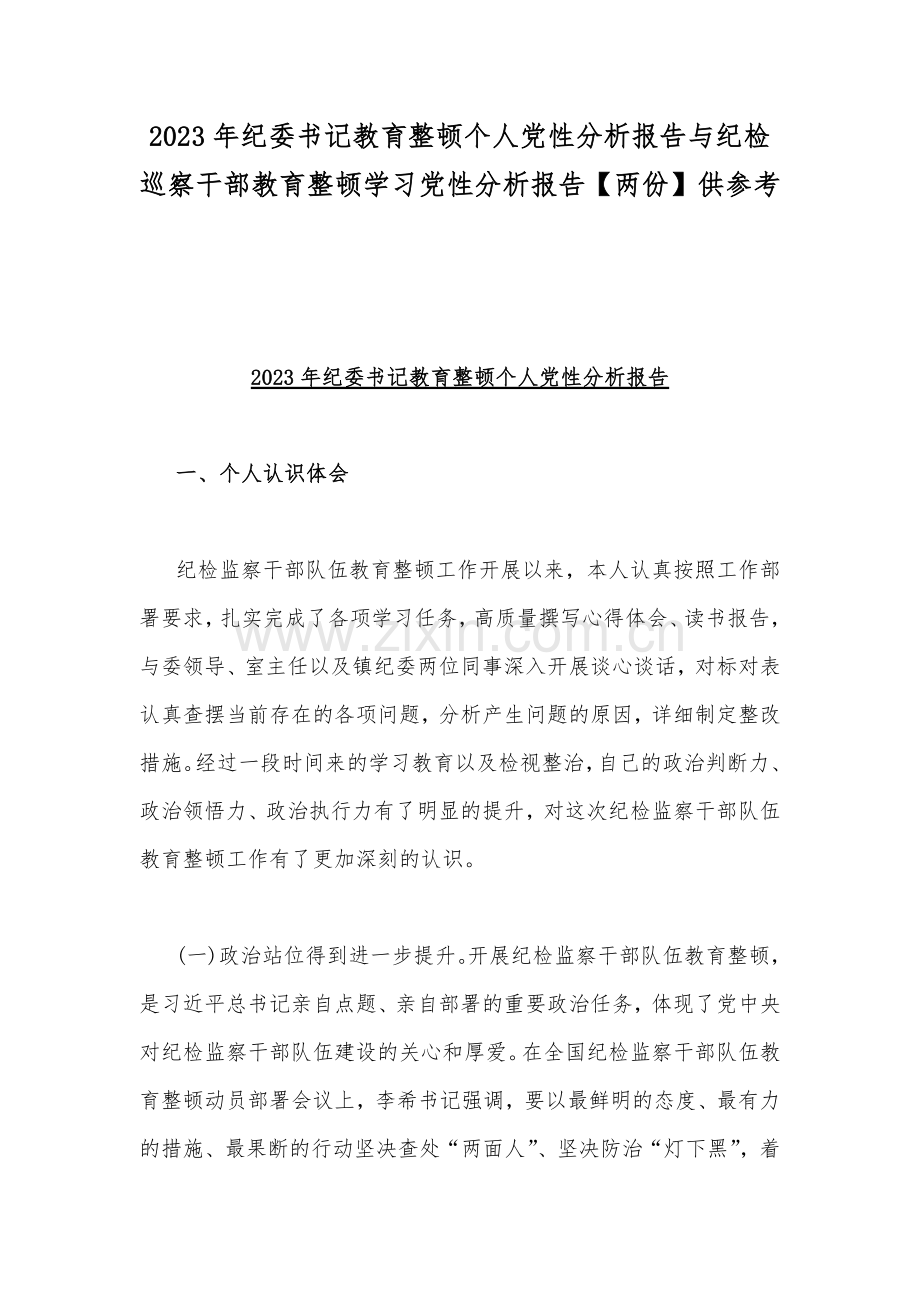 2023年纪委书记教育整顿个人党性分析报告与纪检巡察干部教育整顿学习党性分析报告【两份】供参考.docx_第1页