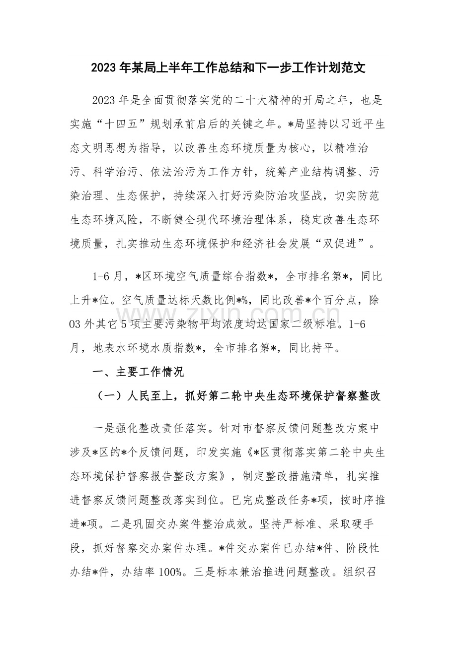 2023年某局上半年工作总结和下一步工作计划范文.docx_第1页